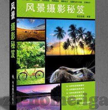 世界杯独赢盘水-世界杯独赢盘水，足球盛宴中的智慧博弈